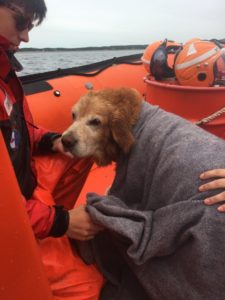 Dog Rescued by Canadian Coast Guard